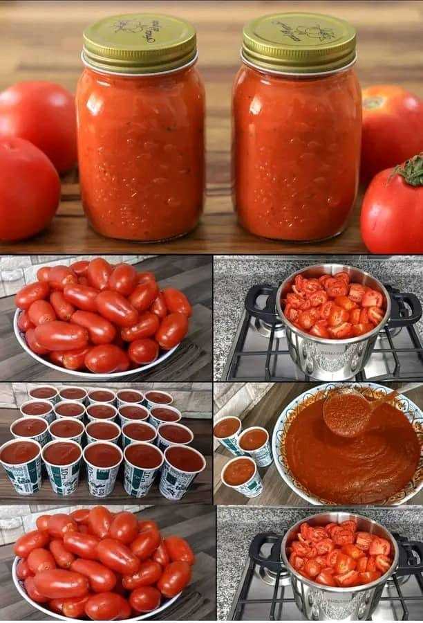 How To Preserve Fresh Tomato Paste For A Year (no Refrigeration)